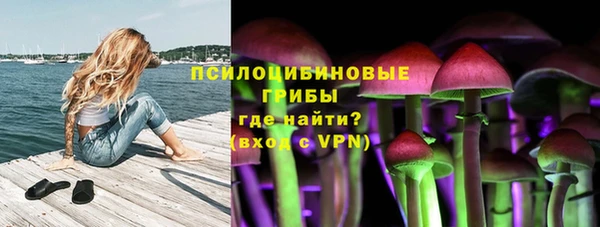 гашик Инсар