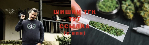 гашик Инсар