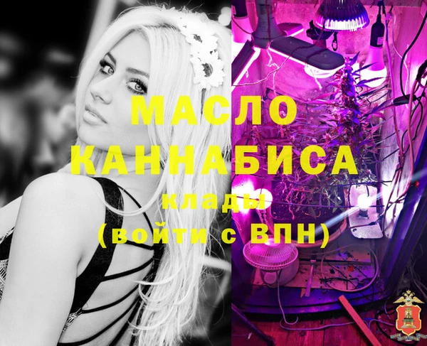 гашик Инсар