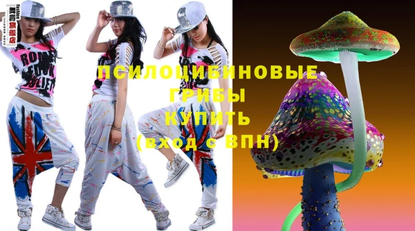 гашик Инсар