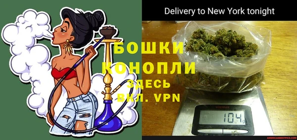 гашик Инсар