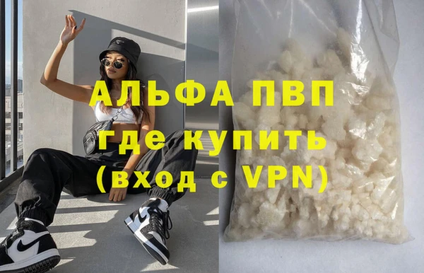 гашик Инсар