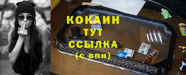 гашик Инсар