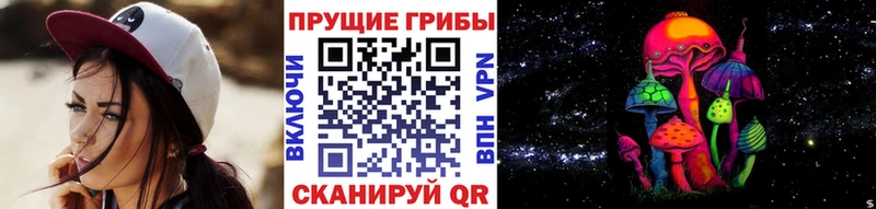 Псилоцибиновые грибы Magic Shrooms  Купить закладки  Заволжск 