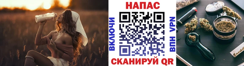 Купить закладки  Заволжск  Бошки Шишки гибрид 